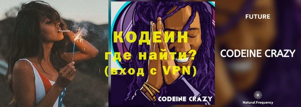 крисы Верхний Тагил