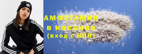 хмурый Верея