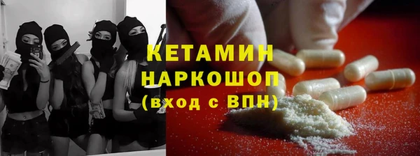 хмурый Верея
