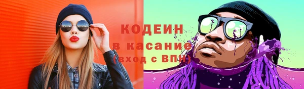 гашик Тайга