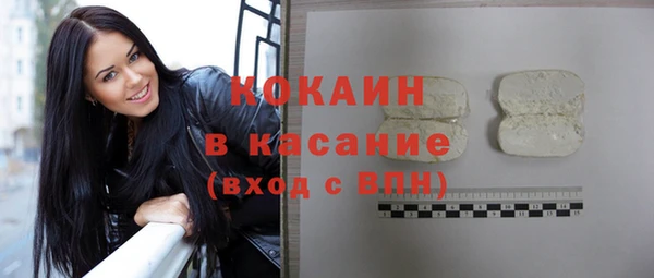 PSILOCYBIN Инсар