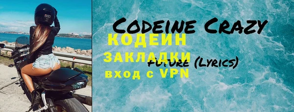 хмурый Верея