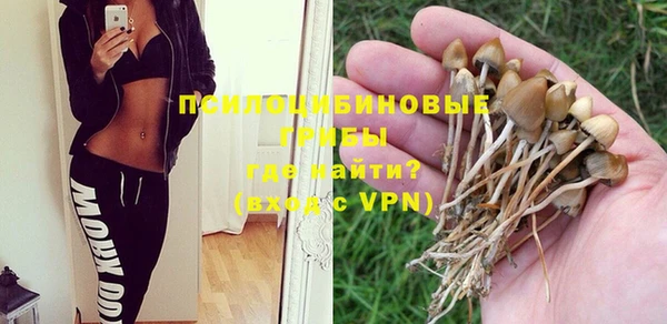 крисы Верхний Тагил