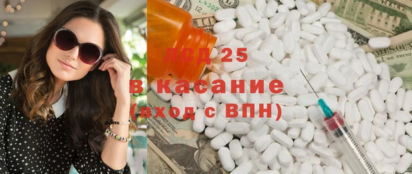 хмурый Верея