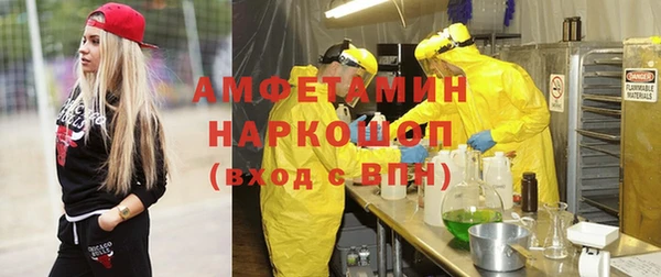 хмурый Верея