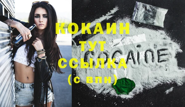 крисы Верхний Тагил