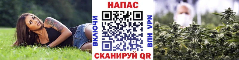 Шишки марихуана OG Kush Семёнов